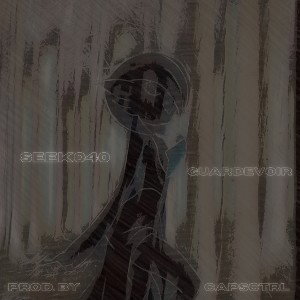 SEEK040-Guardevoir