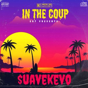 SUAVEKEVO - IN THE COUP