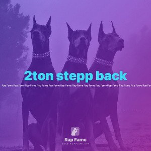 2ton stepp back 