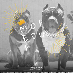 M O P E D U P