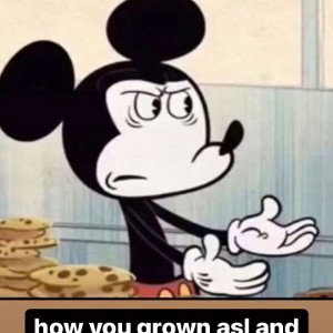 to 😎😎😎