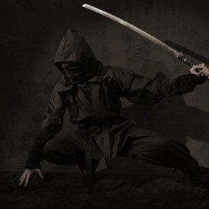 Ninja