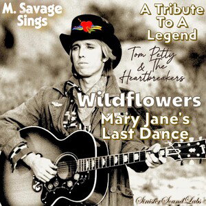 Wildflowers ~X~ Mary Jane's Last Dance Cover