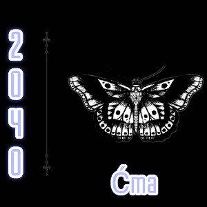 PakolZiom - Ćma 