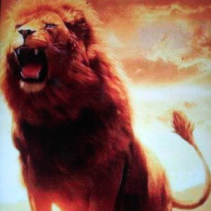 WELCOME  A LIONS TALE 