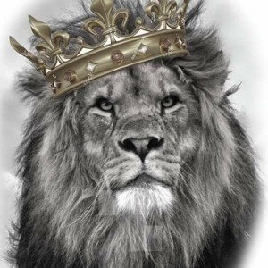WELCOME2A LIONSTALE