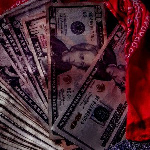 dollar Signs !!!!!