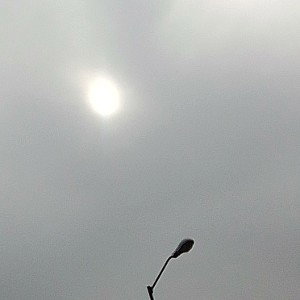 defisiensia del humano