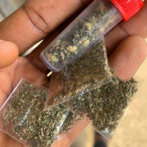 Early M🤑