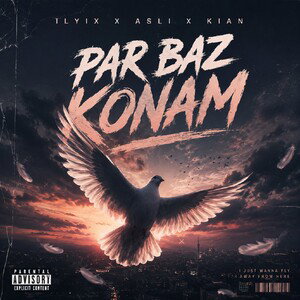 par baz konam
