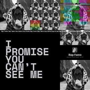 I Promise You Can’t See Me