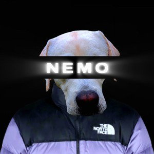 NEMO