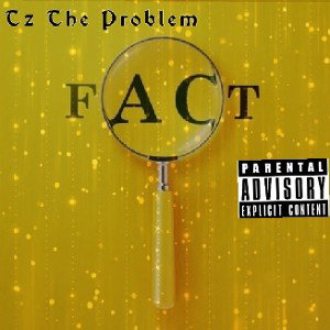 TZ -The Problem  FatCZ