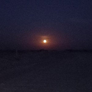 CADA NOCHE EN SOLEDAD / BANDE