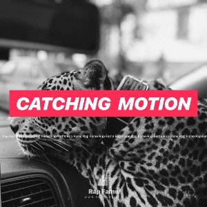 catching  motion 