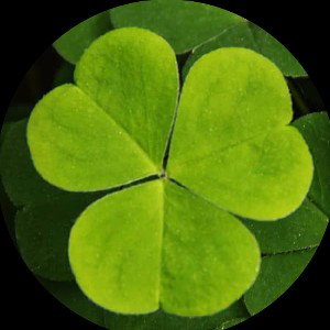 lucky day (Adam)