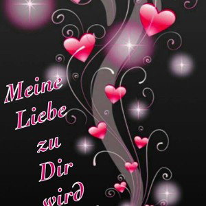 für dich mein Schatz ❤️ ist dieser Song/von Angel bra 2202