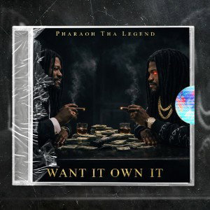 Want it Own It