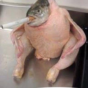 Ja wir gehn behindert auf Kroketten 
