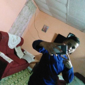 friestile