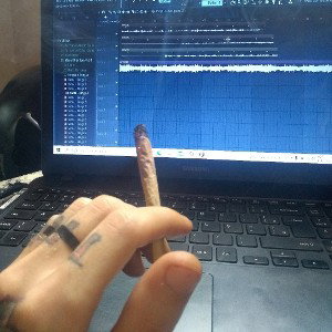 Foca no Progresso