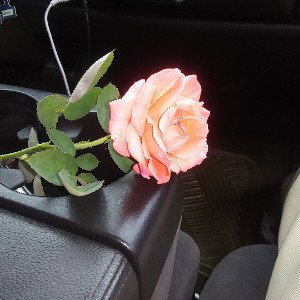 y romántico 