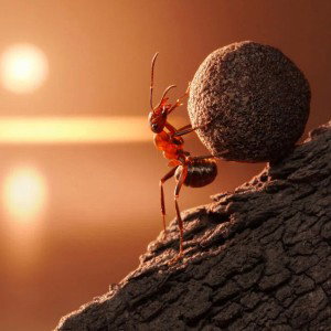 Fuerza de hormiga 