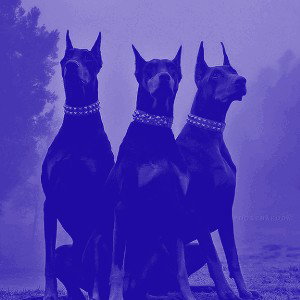 do you see (Slowed + Reverb)
