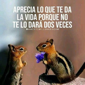 😜destino😂