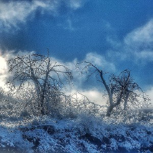 Defrost