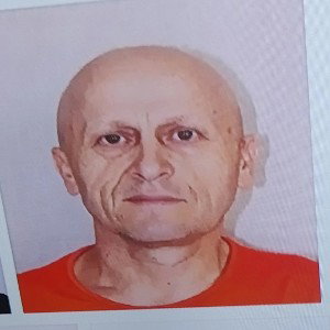 Мишка Фредди