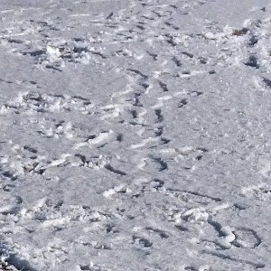 выше будь 