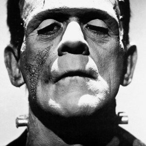 FRANKENSTONE
