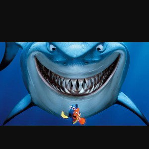 fish in the sea