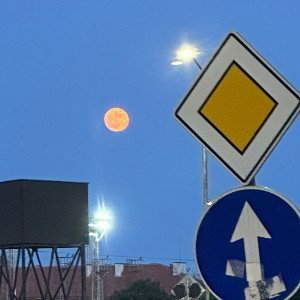 Вечно