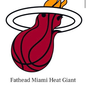 Miami heat 