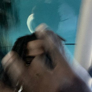 Shake Da World