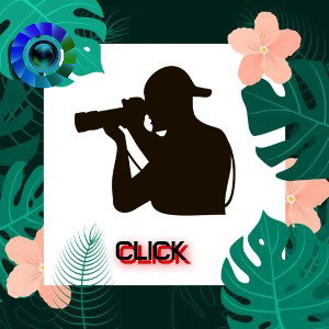 click