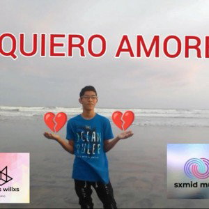 ©NO QUIERO AMORES - BRYAN MAKER [OFFICIAL VIDEO]✅💽