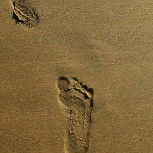 Leaving a trace