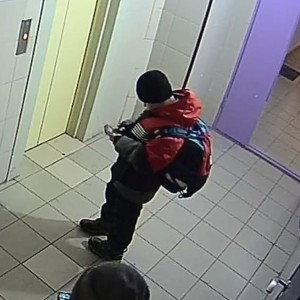НОВОГО ГОДА НЕБУДИТ