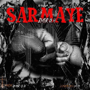 sarmaye