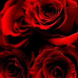 Valentine ❤️