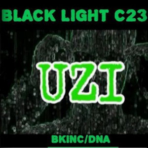 C23-UZI (SPRAY THE BLOCK)