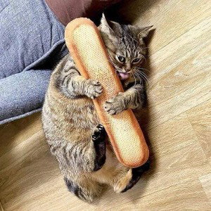 Мои деньги