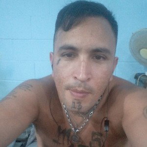 te traigo mi gansterio