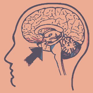 Tickle the Amygdala 
