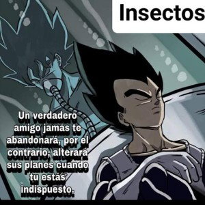 por qué te vas