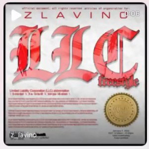 Z LAVINO LLC FREESTYLE