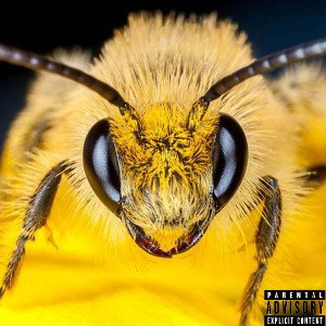 Bees Burp Freestyle 